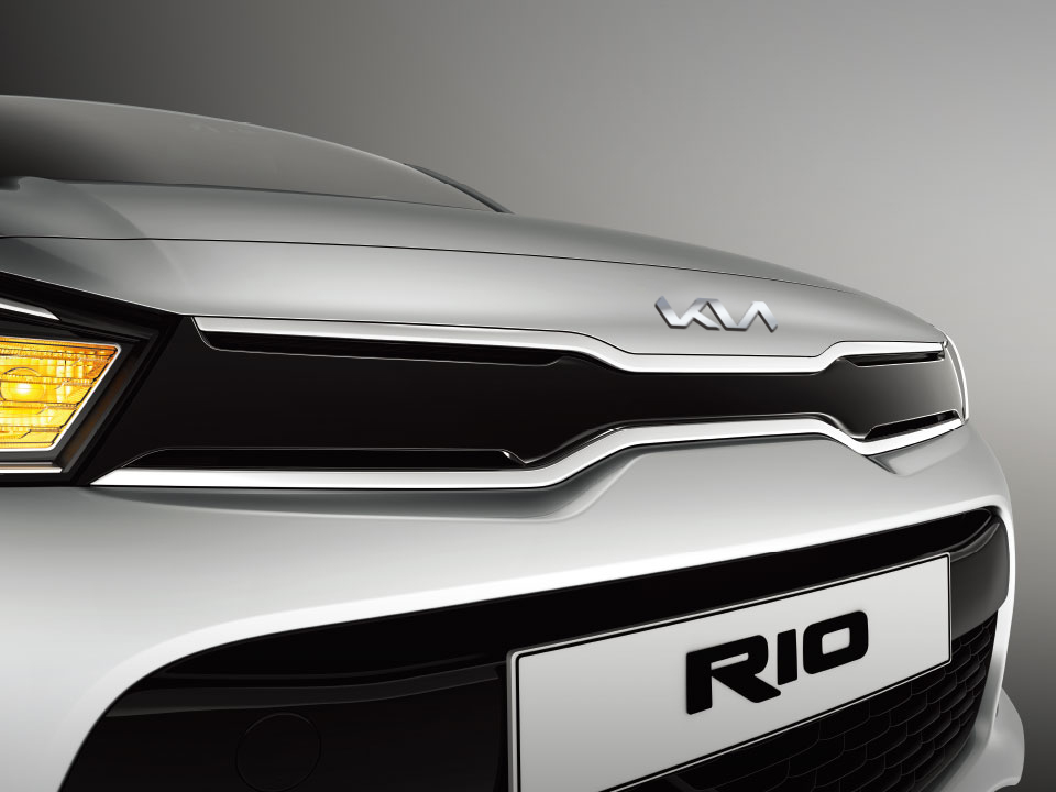 Light metallic grille (EX)
